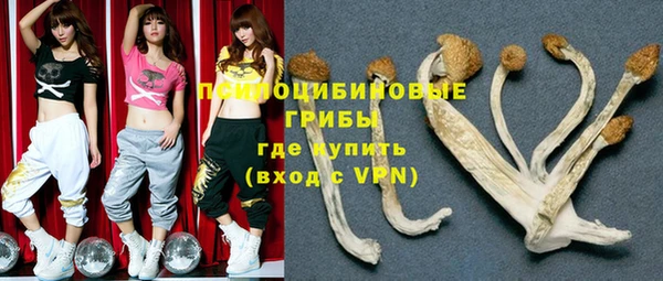 стафф Новозыбков