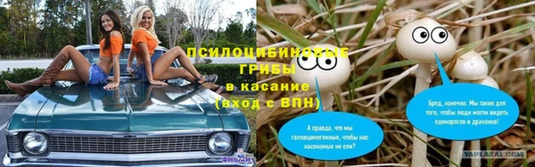 прущие крисы Аркадак