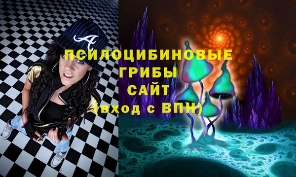 прущие крисы Аркадак