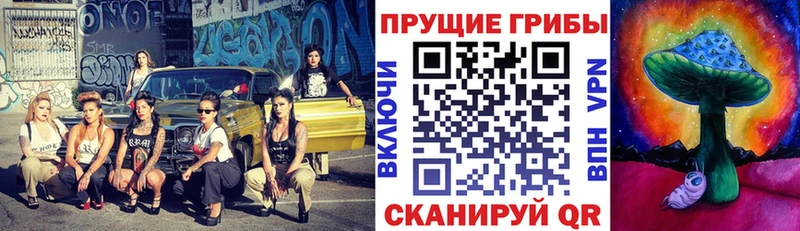 даркнет Telegram  MEGA вход  Белоозёрский  Псилоцибиновые грибы MAGIC MUSHROOMS 